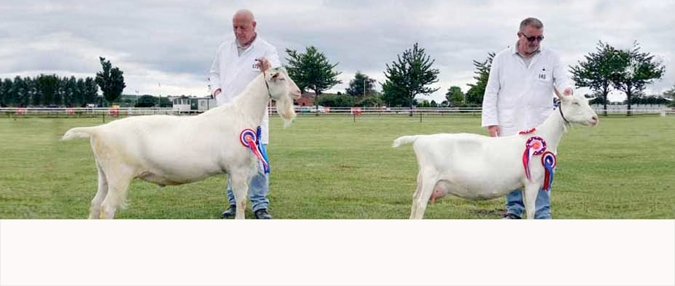 British Goat Society